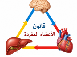 دبلوم قانون الأعضاء المفردة – الطب اليوناني الحديث | المستوى الأول دبلوم قانون الأعضاء المفردة – الطب اليوناني الحديث | المستوى الأول