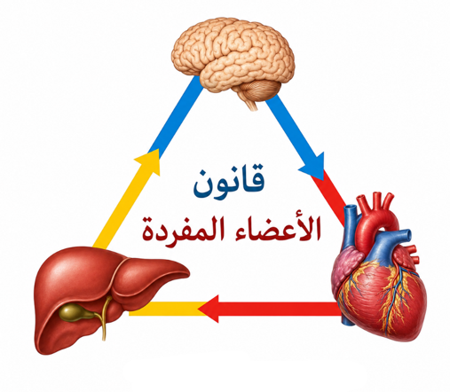 دبلوم قانون الأعضاء المفردة – الطب اليوناني الحديث | المستوى الأول دبلوم قانون الأعضاء المفردة – الطب اليوناني الحديث | المستوى الأول